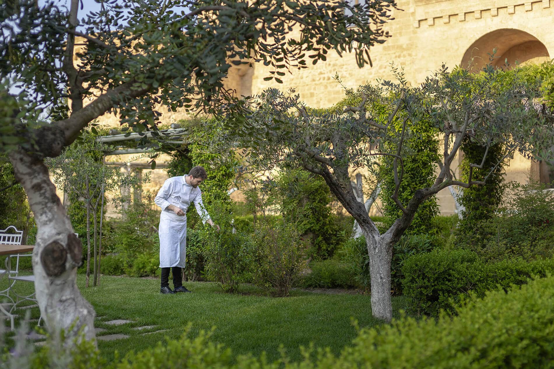 Chef Tommaso Sanguedolce selects herbs from the Castello di Ugento garden for Il Tempo Nuovo Restaurant